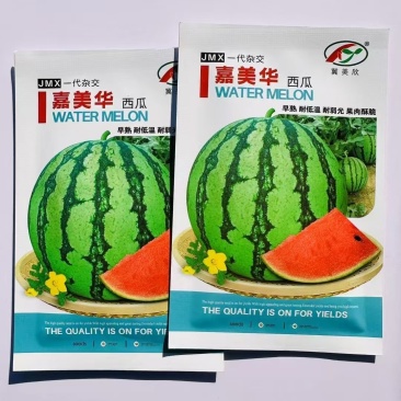 嘉美华西瓜种子早熟耐低温果肉酥脆单瓜4.5公斤左右