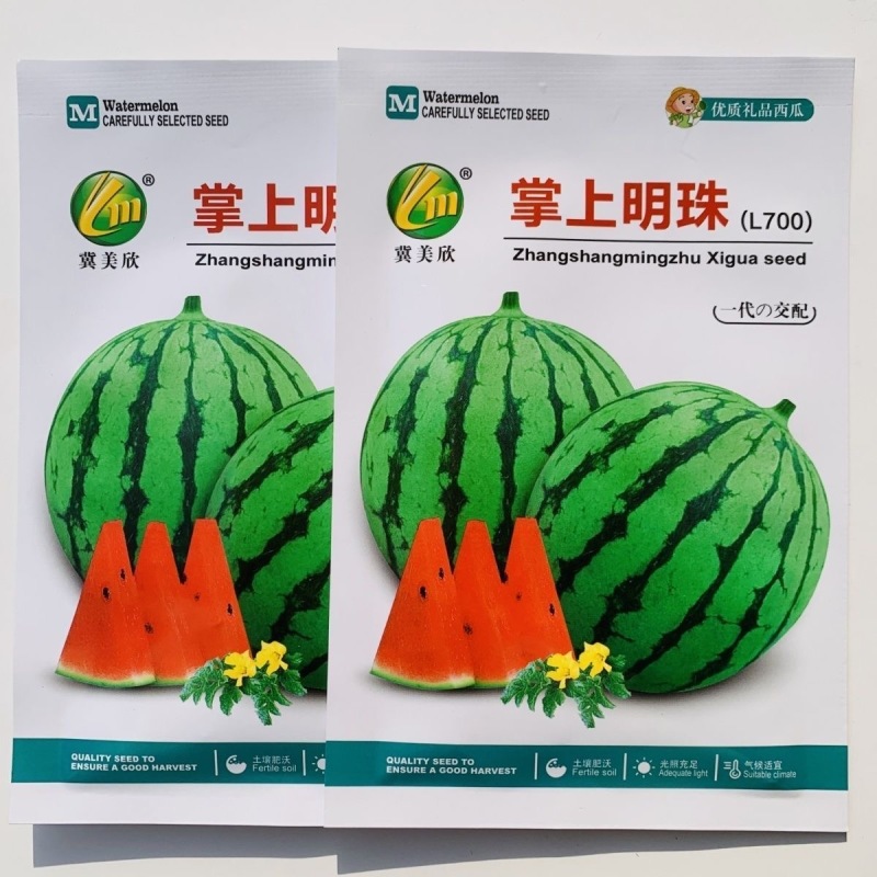 掌上明珠L700西瓜种子早熟一代小型西瓜种子抗病耐裂