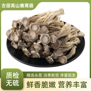 古田鹿茸菇(贵旺）(品品鲜）(如意情）一件代发实力工厂