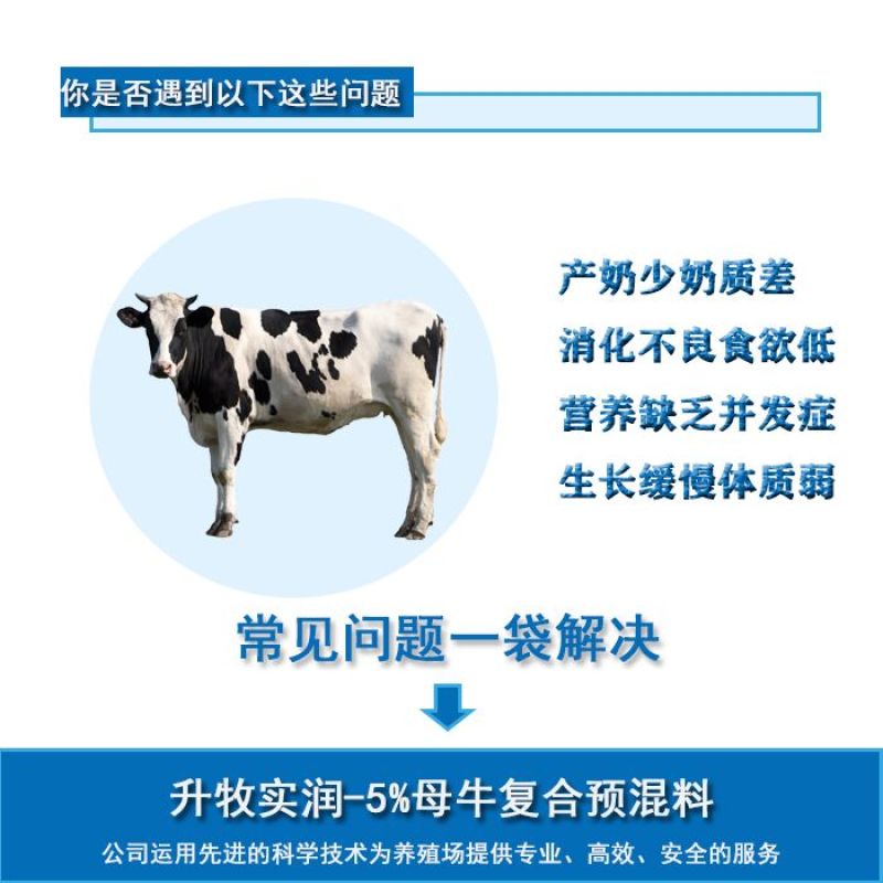 奶牛预混料提高产奶量黑白花荷斯坦奶牛娟姗牛爱尔夏牛更赛牛