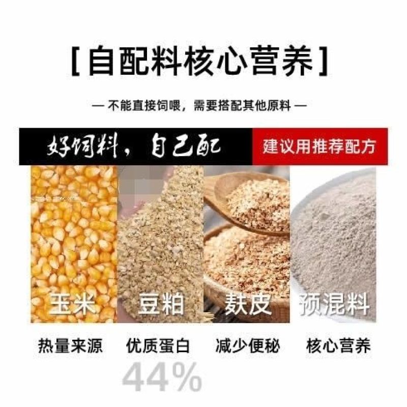 奶牛预混料提高产奶量黑白花荷斯坦奶牛娟姗牛爱尔夏牛更赛牛