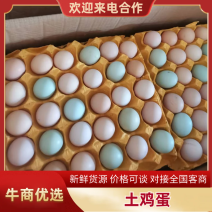 九江德安农家土鸡蛋，农场直供，一件代发，供货稳定新鲜