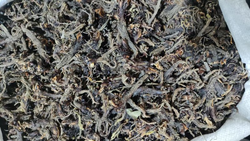 中药材干货甘松全草水洗甘松根品质保障量大价钱可议
