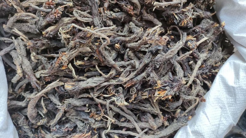 中药材干货甘松全草水洗甘松根品质保障量大价钱可议