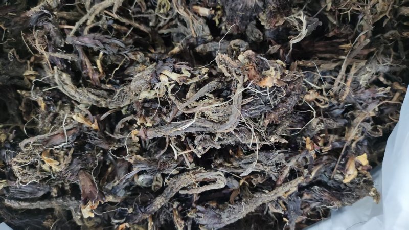 中药材干货甘松全草水洗甘松根品质保障量大价钱可议