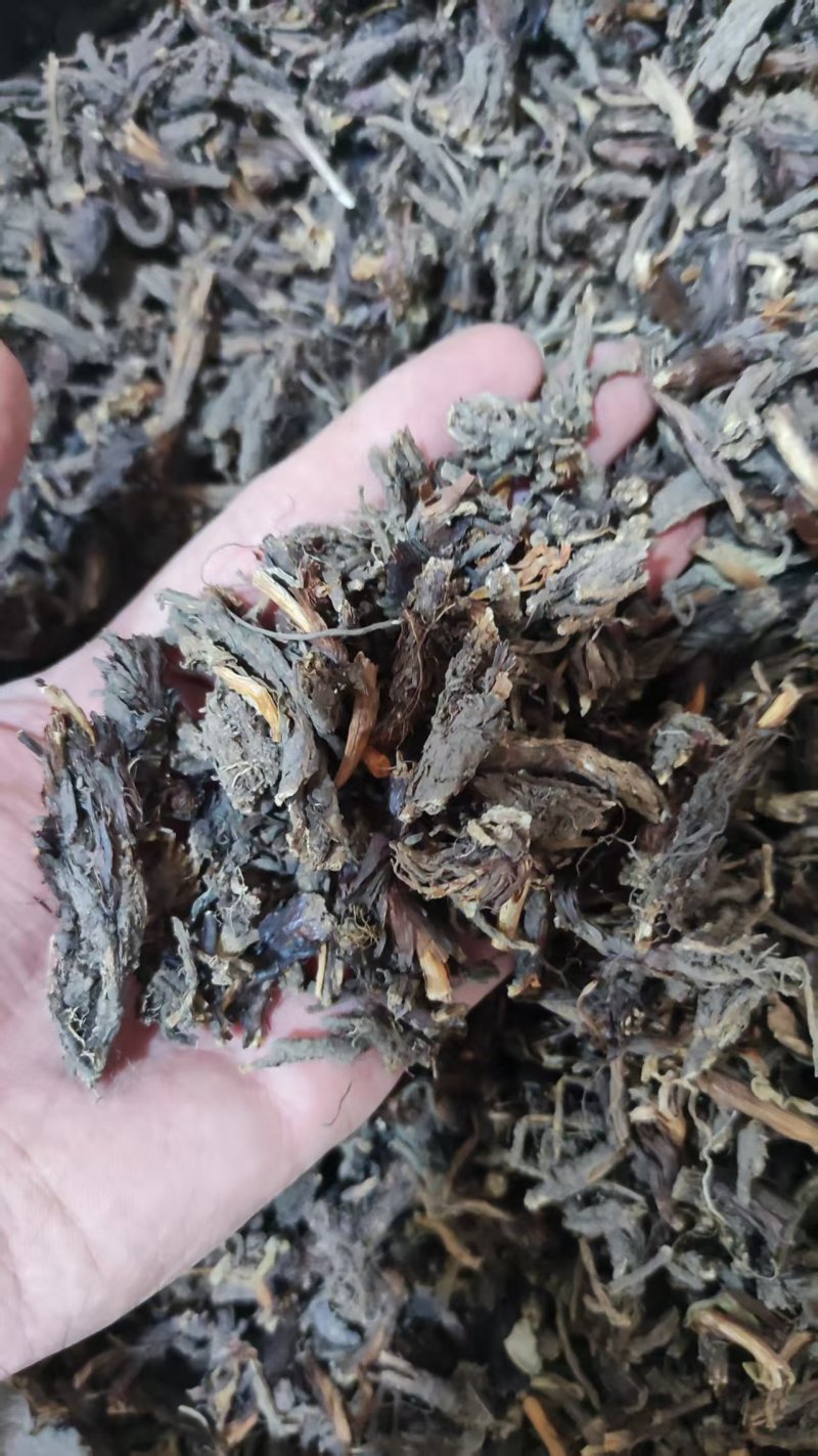 中药材干货甘松全草水洗甘松根品质保障量大价钱可议