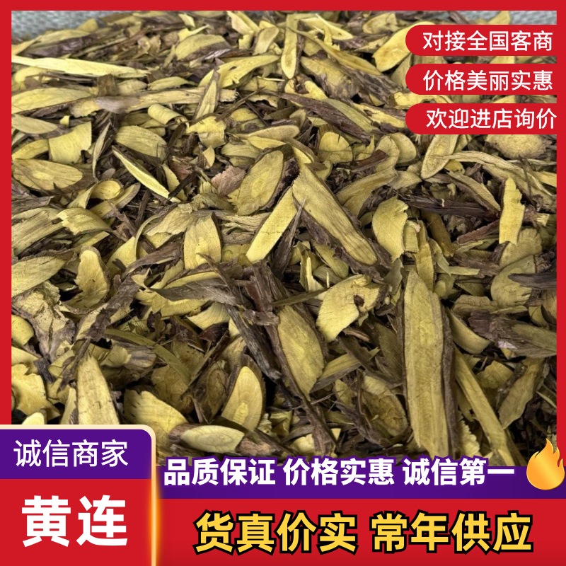 黄连一手货源，品质保证，诚信经营，量大从优