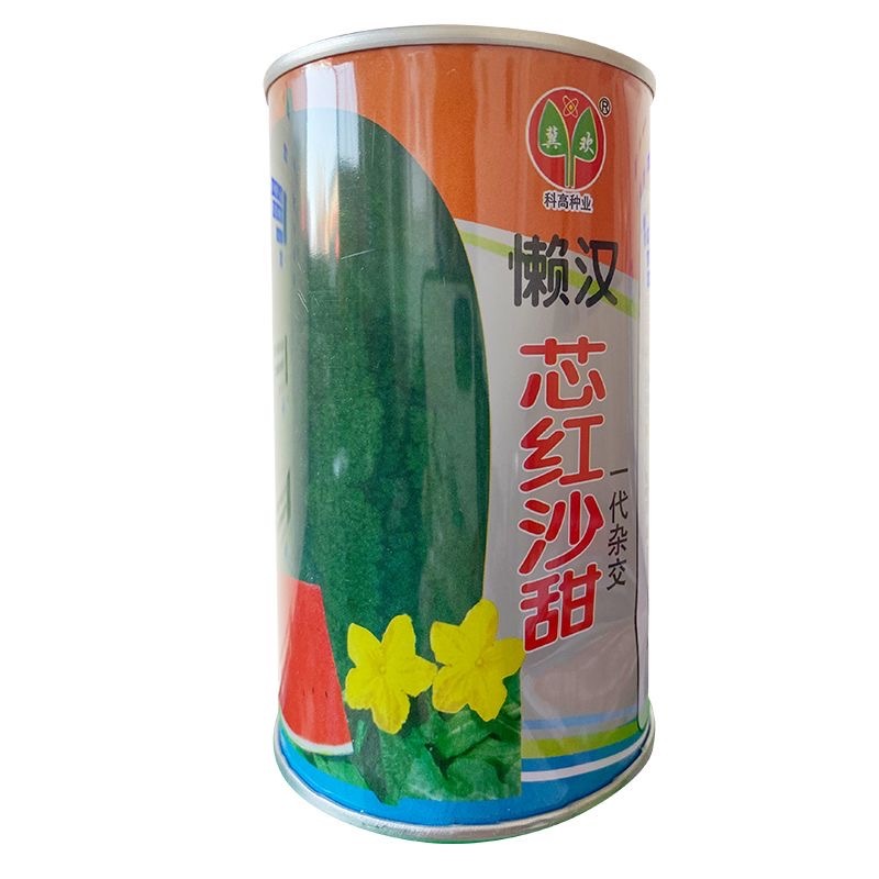 懒汉芯红沙甜西瓜种子50克罐装高抗重茬果肉大红