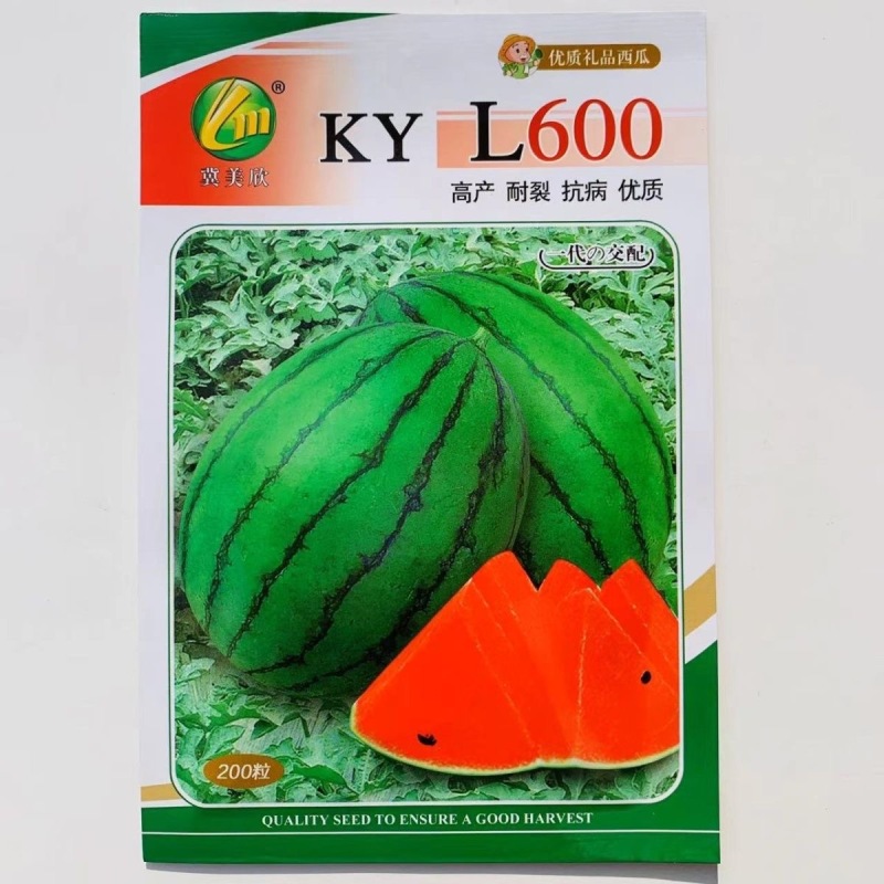 L600西瓜种子200粒原装早熟抗病礼品小西瓜种子