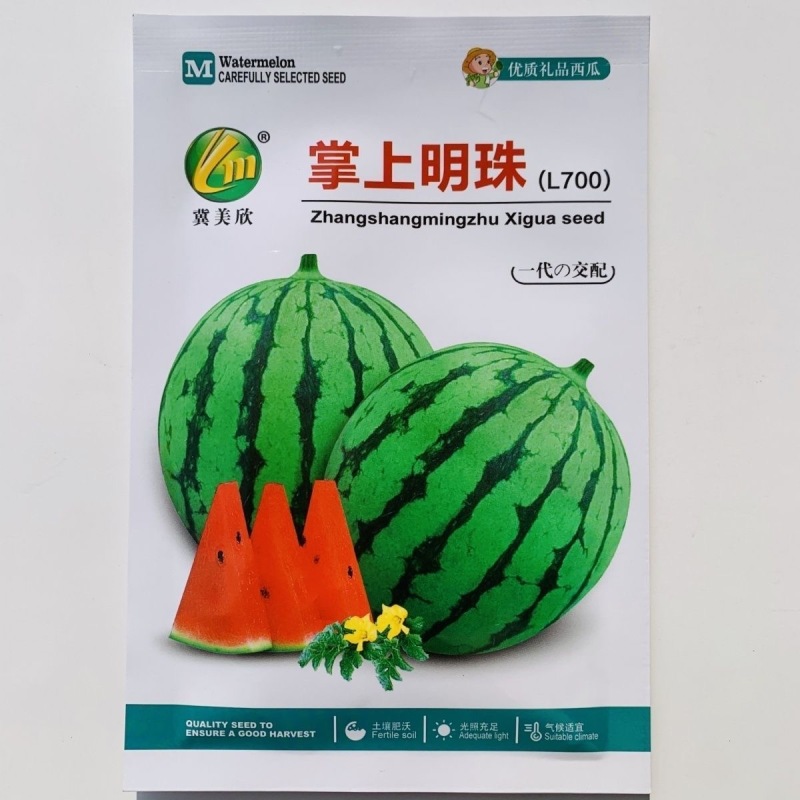 掌上明珠L700西瓜种子200粒原装礼品西瓜种子