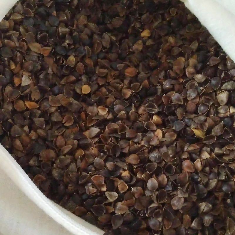 【厂家】供应干洗无尘苦荞麦壳（皮）