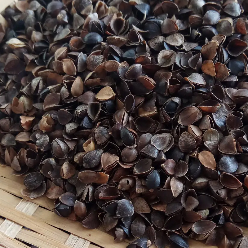 【厂家】供应干洗无尘苦荞麦壳（皮）