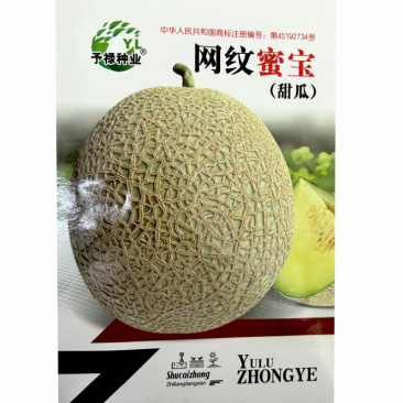 网纹甜瓜种子果冰淇淋甜瓜哈密瓜肉翠绿色细嫩柔软