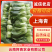 《云南上海青》基地现货供应/规格齐全/量大从优/全国发货