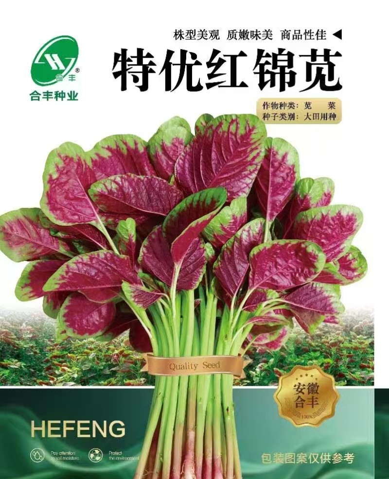 特优红锦苋-苋菜种子特优红锦苋菜耐热清香脆嫩