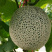 网纹蜜宝甜瓜种子冰淇淋早熟果肉翠绿色空腔小