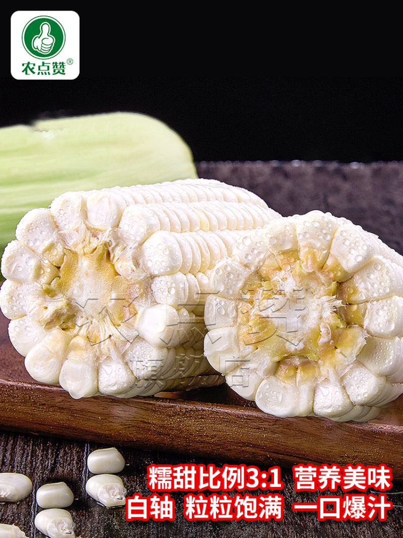 粤白糯6号-鲜食白糯玉米种子大棒高产非转基因