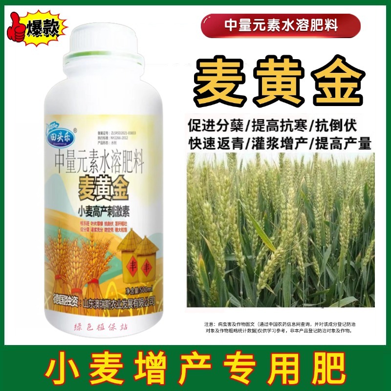 麦黄金增产肥小麦生根壮苗抗倒伏促分蘖灌浆增产增收叶面肥