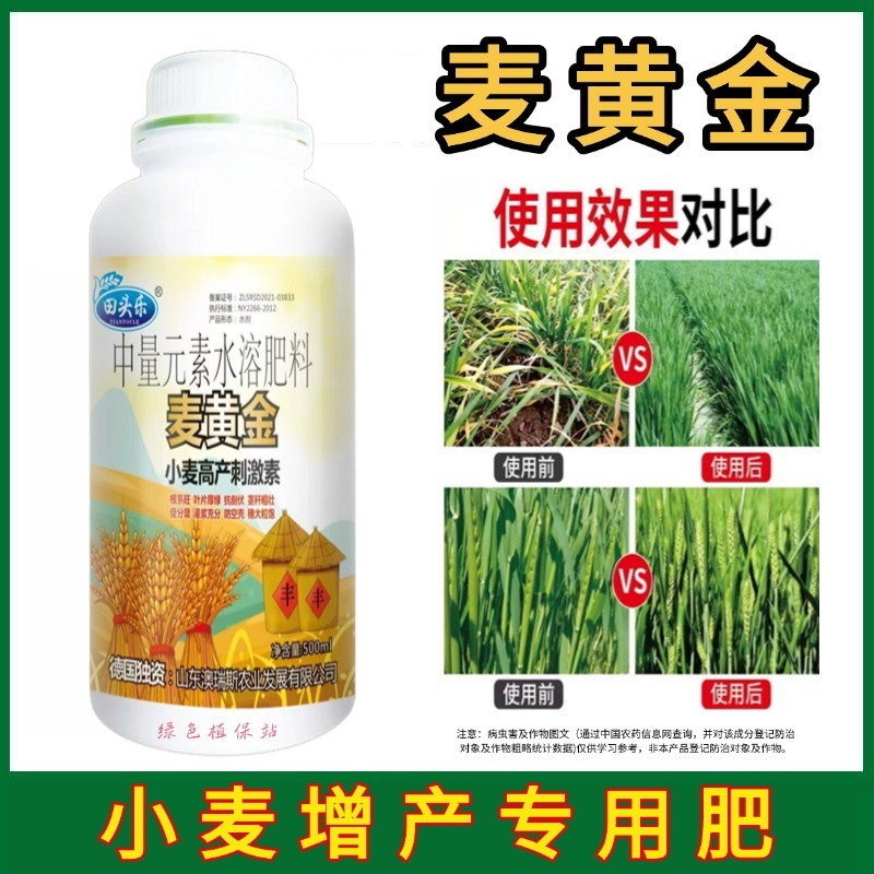 麦黄金增产肥小麦生根壮苗抗倒伏促分蘖灌浆增产增收叶面肥