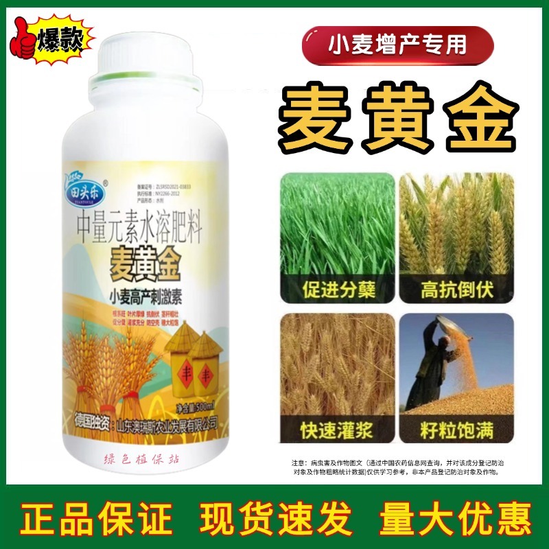 麦黄金增产肥小麦生根壮苗抗倒伏促分蘖灌浆增产增收叶面肥