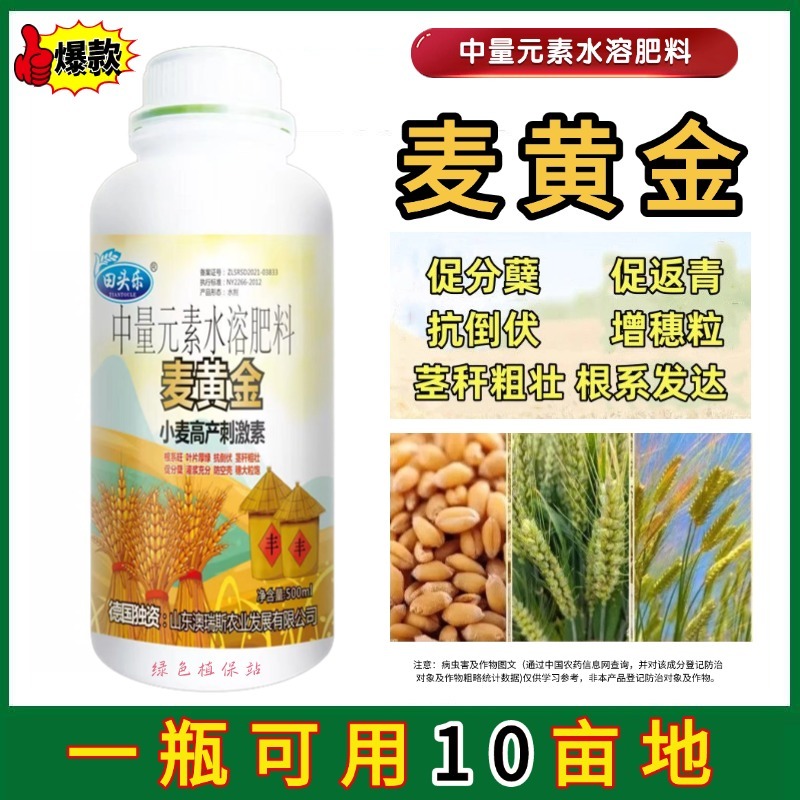 麦黄金增产肥小麦生根壮苗抗倒伏促分蘖灌浆增产增收叶面肥
