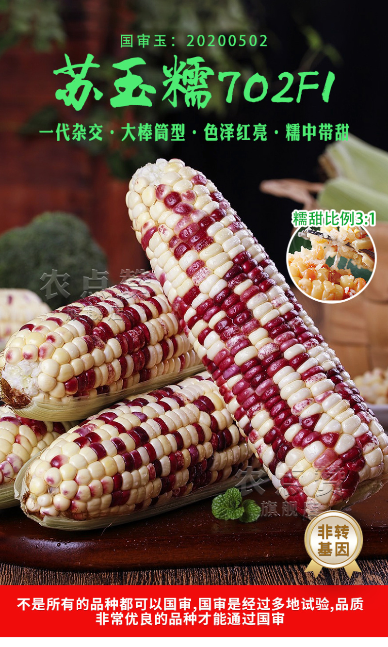苏玉糯702-糯玉米种子糯中带甜高产非转基因一代杂交