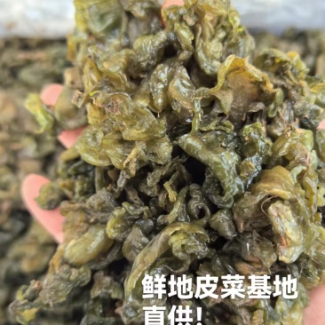 大量供应新鲜野生地皮菜地木耳产地直供精选无杂质