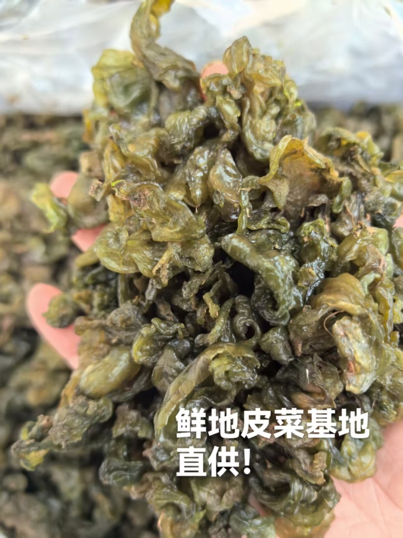 大量供应新鲜野生地皮菜地木耳产地直供精选无杂质