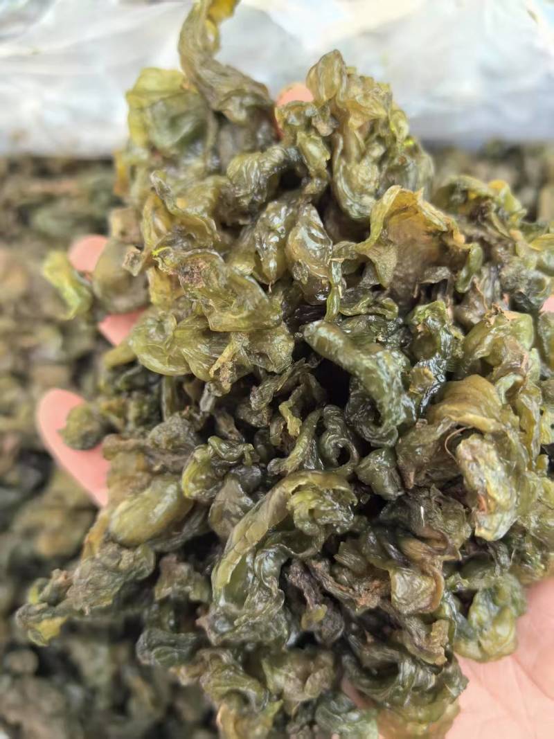 大量供应新鲜野生地皮菜地木耳产地直供精选无杂质