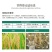 30%甲霜·恶霉灵杀菌剂立枯病枯萎病黄萎青枯病根腐病