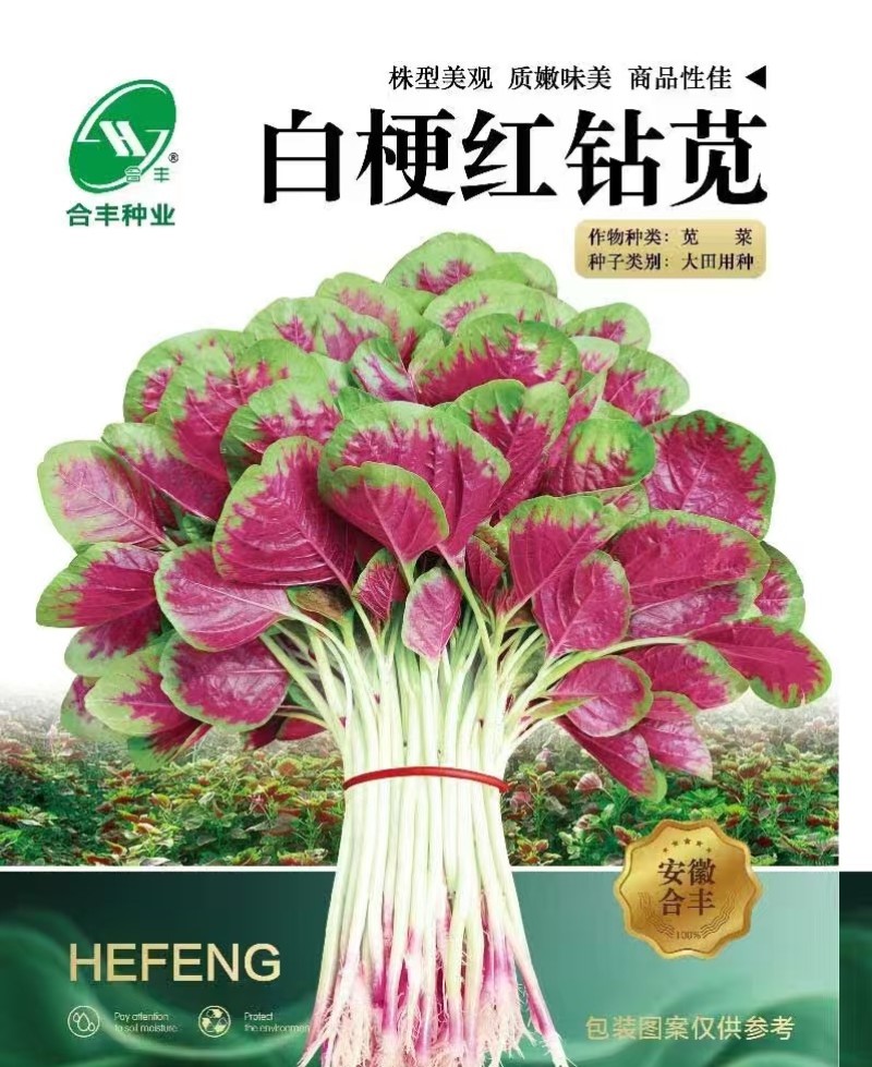 白梗红钻苋-苋菜种子耐热耐旱易种易活味鲜脆嫩品质好
