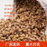越南带皮盐焗腰果A180批发厂家直发坚果进口零食量大价优