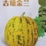 吉糖金兰糖蕾甜瓜种子露地版八里香花皮绿肉甜瓜种子高糖