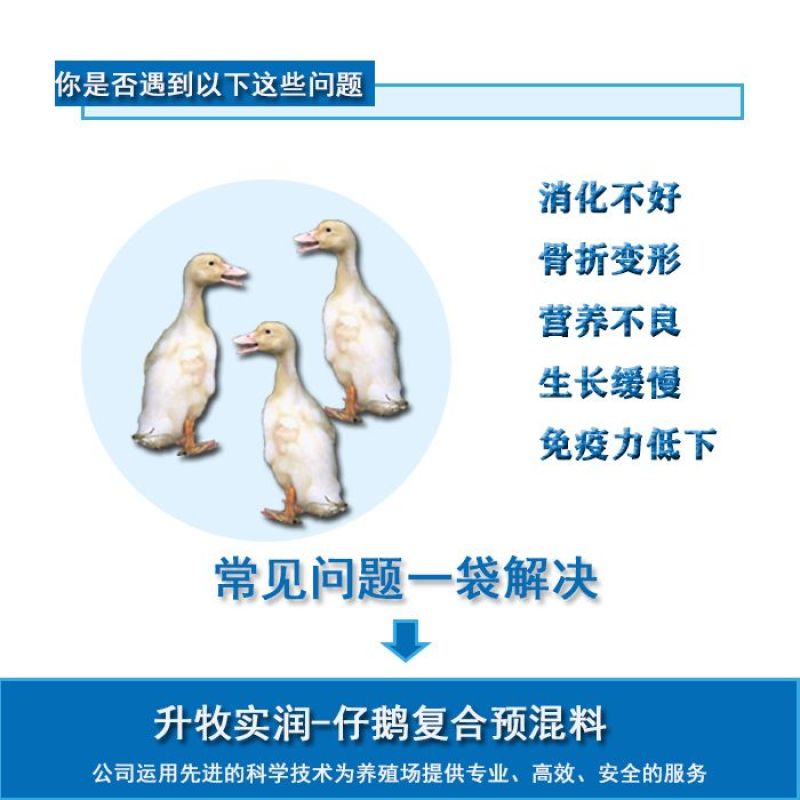5%仔鹅预混料鹅饲料*****仔鹅饲料北京厂家仔鹅预混料