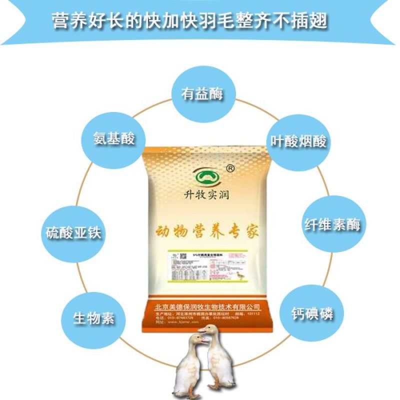 5%仔鹅预混料鹅饲料*****仔鹅饲料北京厂家仔鹅预混料