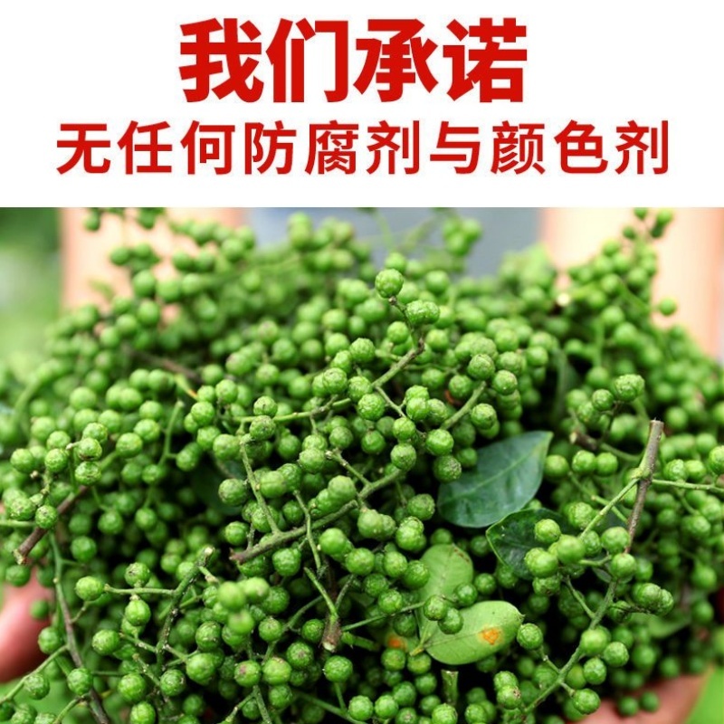 重庆四川江津特麻青花椒藤椒麻椒湿花椒保鲜青椒鱼餐饮批发