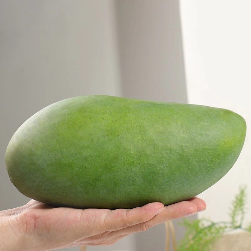 【一件代发】大青芒支持各大电商平台代发