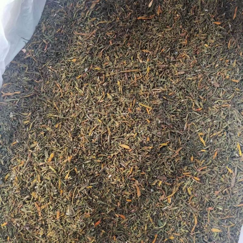 螃蟹脚古树寄生螃蟹脚螃蟹脚批发
