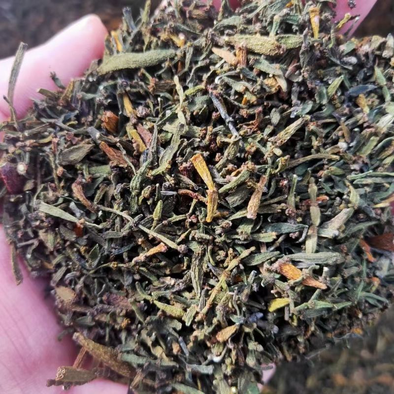 螃蟹脚古树寄生螃蟹脚螃蟹脚批发