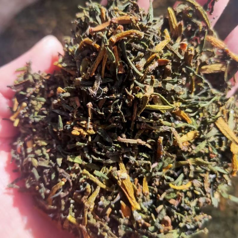 螃蟹脚古树寄生螃蟹脚螃蟹脚批发