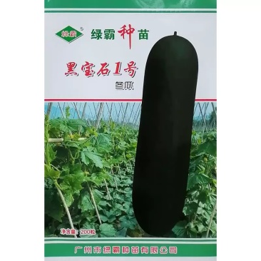 黑宝石1号黑皮冬瓜种子肉厚心室小单瓜重15-18公斤