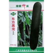 东方黑龙冬瓜种子转黑快心室小单瓜重15-20公斤