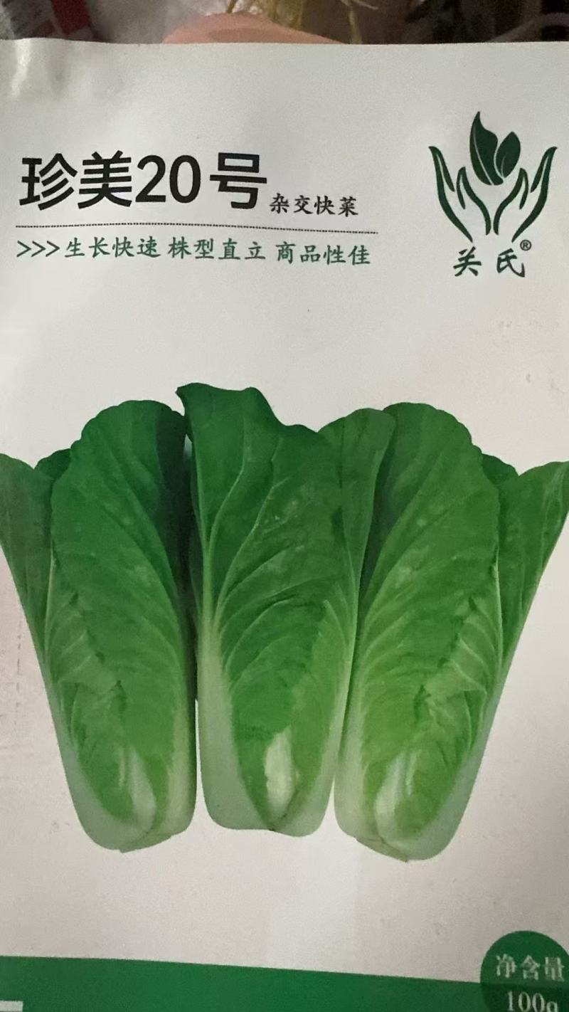珍美20号-杂交快菜种子耐抽苔品质好生长速度快