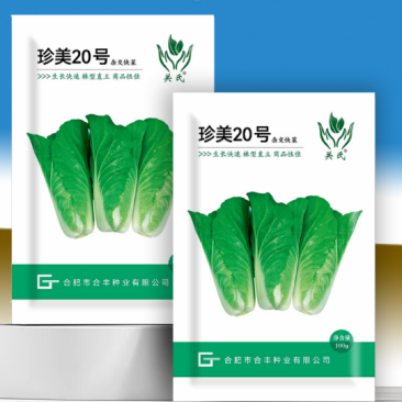 珍美20号-杂交快菜种子耐抽苔品质好生长速度快