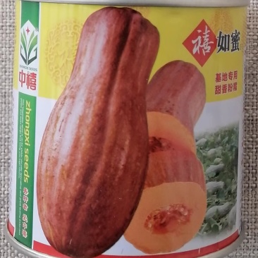 禧如蜜南瓜种子200粒罐装甜香粉糯单果重4公斤左右