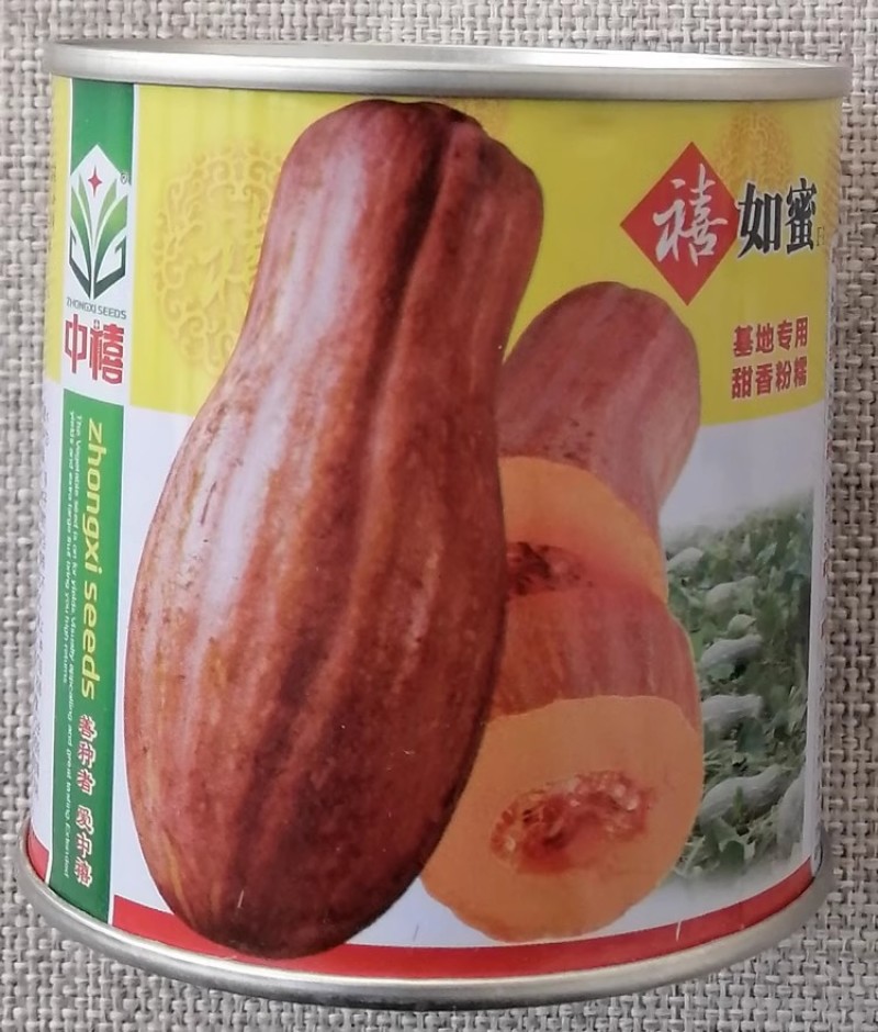 禧如蜜南瓜种子200粒罐装甜香粉糯单果重4公斤左右