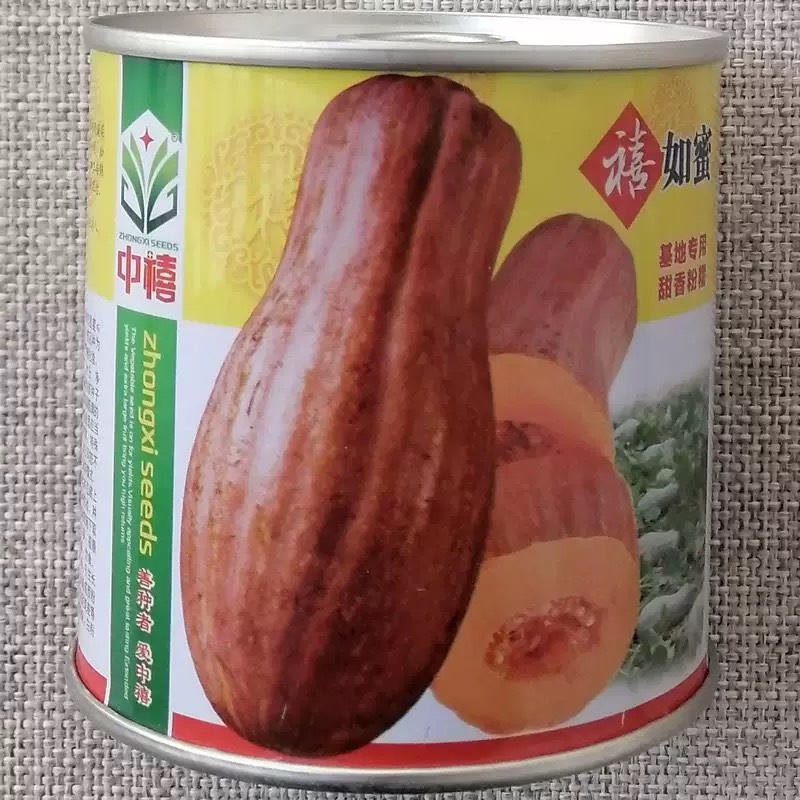 禧如蜜南瓜种子200粒罐装甜香粉糯单果重4公斤左右