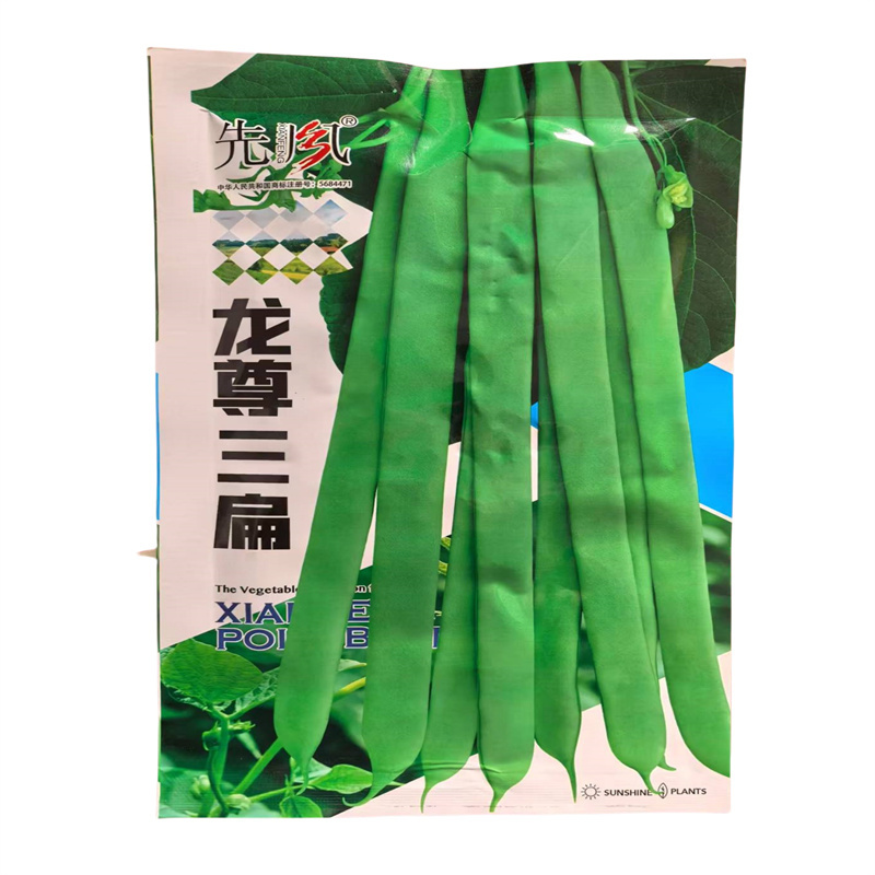 龙尊三扁种子高产扁豆角种子四季豆角扁豆子