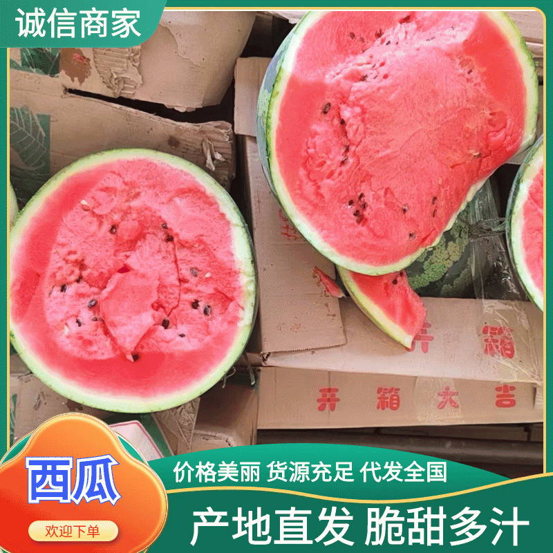 云南甜王西瓜大量供应产地一手货源直发，品质保证