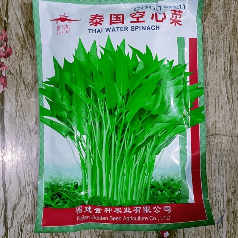 泰国空心菜种子500克原装竹叶空心菜种子旱地水田种